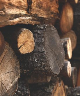 pexels-iaia881-122588